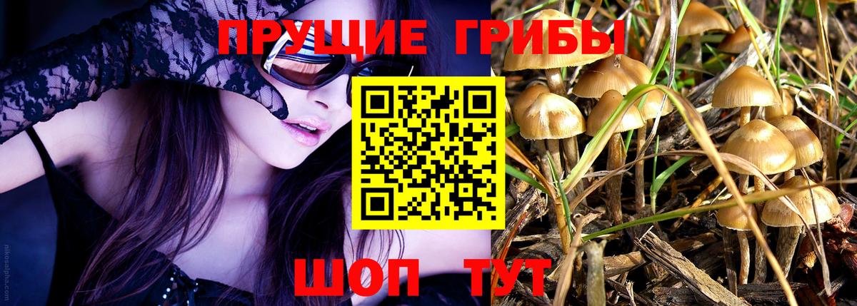 цена наркотик  Вход с VPN  Пенза  Псилоцибиновые грибы Cubensis  Галлюциногенные грибы мухоморы 